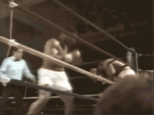 6946_8_i015272599918.gif
