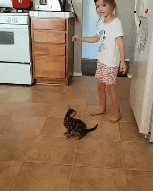 7513_0_i013536567952.gif