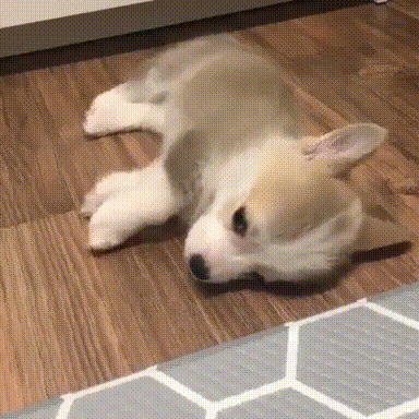 8866_0_i013310242631.gif