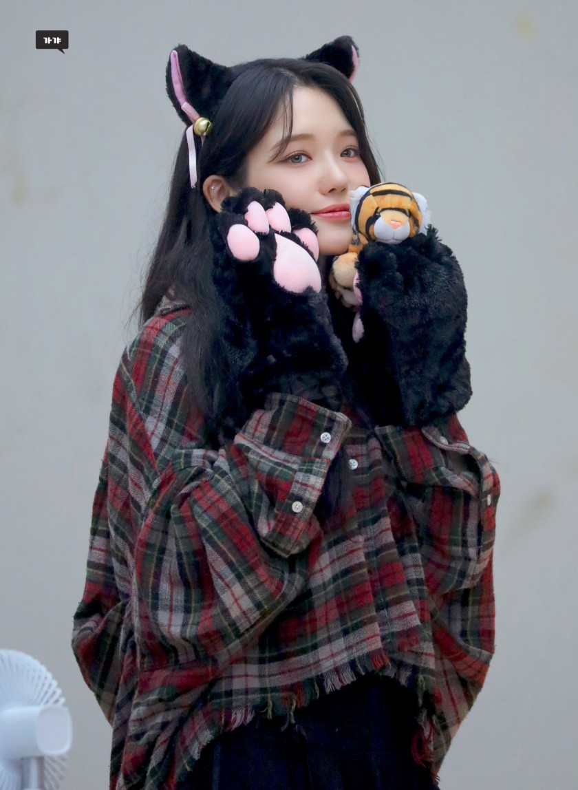 찢어진 검스 고양이 프로미스9 노지선