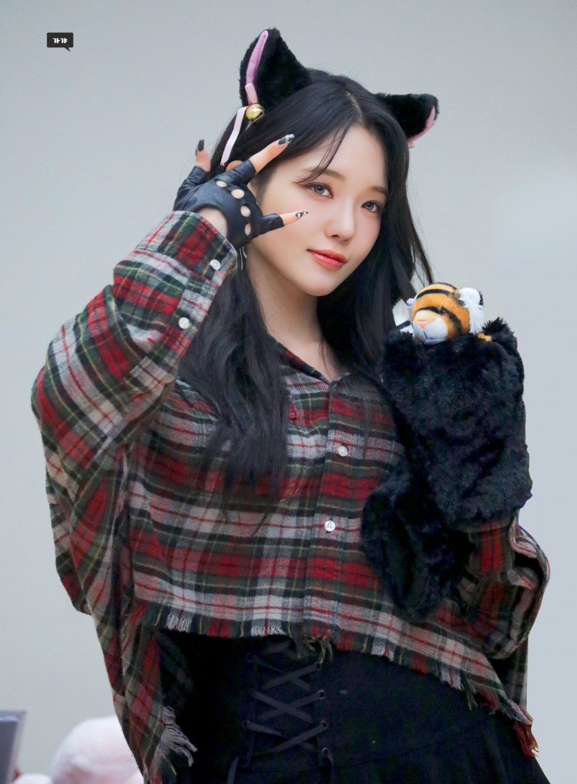 찢어진 검스 고양이 프로미스9 노지선