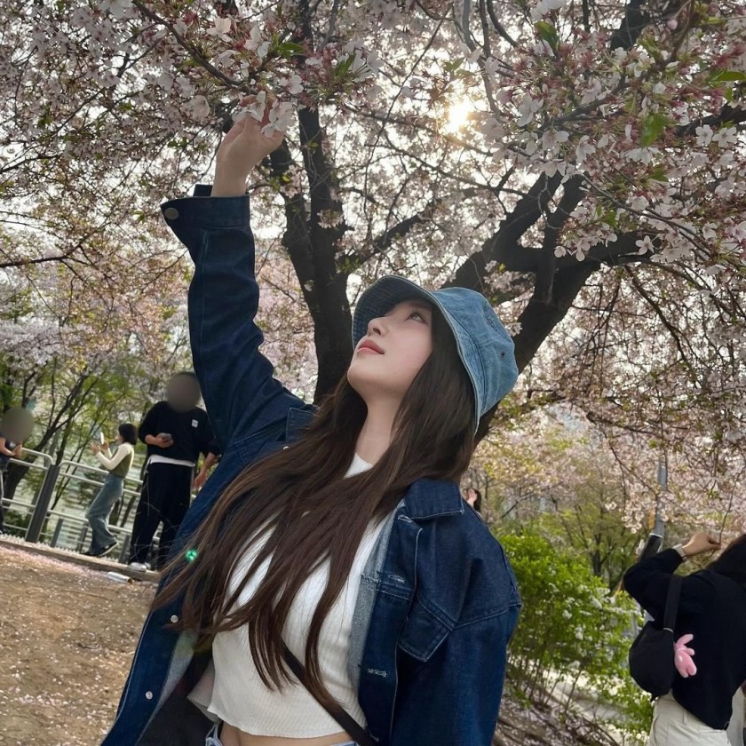 한국와서 처음으로 벚꽃놀이 갓다는 로켓펀치 쥬리